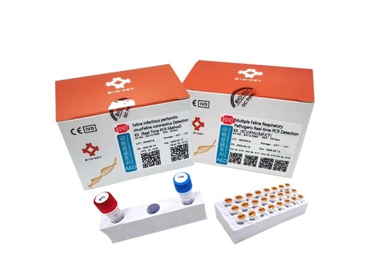 RT QPCR Kedi Enfeksiyöz Peritonit Testi Taq DNA Feline Coronavirüs Test Kiti
