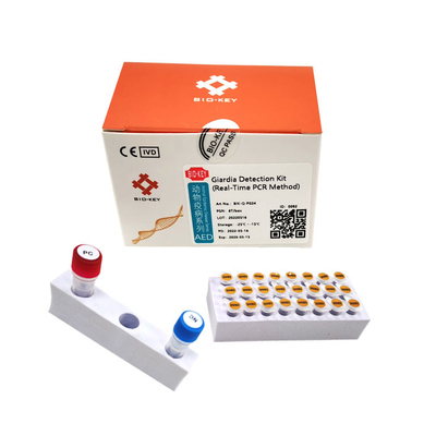 PCR Köpek Giardia Test Kiti Floresan Probu Köpek Köpek Test Kiti Nükleik Asit