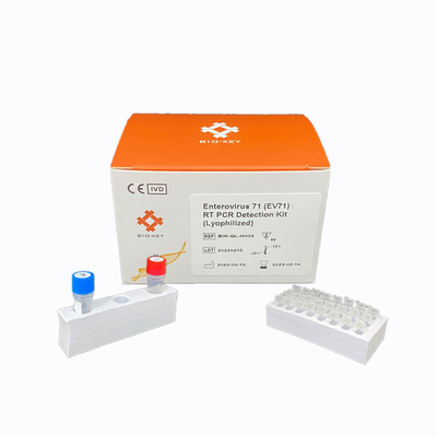 RT PCR Enterovirus 71 Hızlı Test Kiti Liyofilize DNA Tespit Kiti