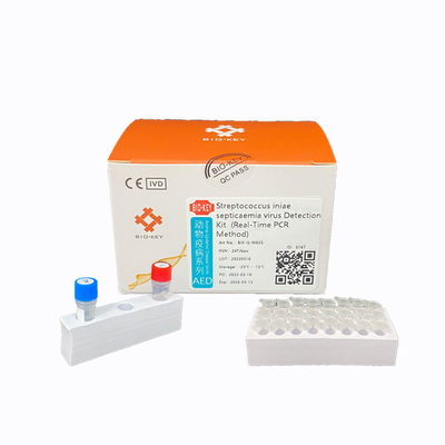 Floresan Prob Streptococcus Test Kiti Ct38 PCR Su Ürünleri Kiti