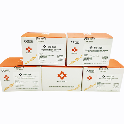 Real Time HSV-6 Herpes Simplex Virus PCR Liyofilize 24 test/Kit