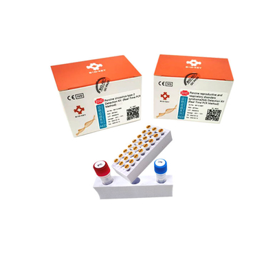 Domuz Circovirus Tip 2 Domuz DNA Test Kiti PCR Nükleik Asit Test Micgene