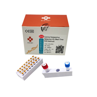 Taq Polimeraz Köpek Köpek Test Kiti PCR Köpek Herpes Virüsü Testi Floresan