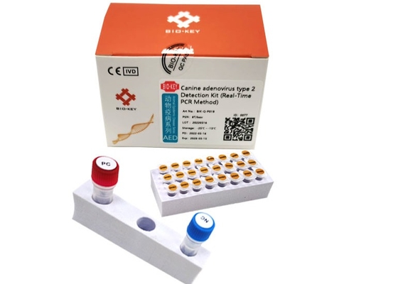 ISO13485 Köpek Adenovirüs Pcr Testi Tip II Taq Ploymeraz Köpek DNA Test Kiti