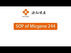 POCT Gerçek Zamanlı Kvantitatif PCR Makinesi 2 / 4 Kanal 24 Kuyu Moleküler Tanılama Cihazı