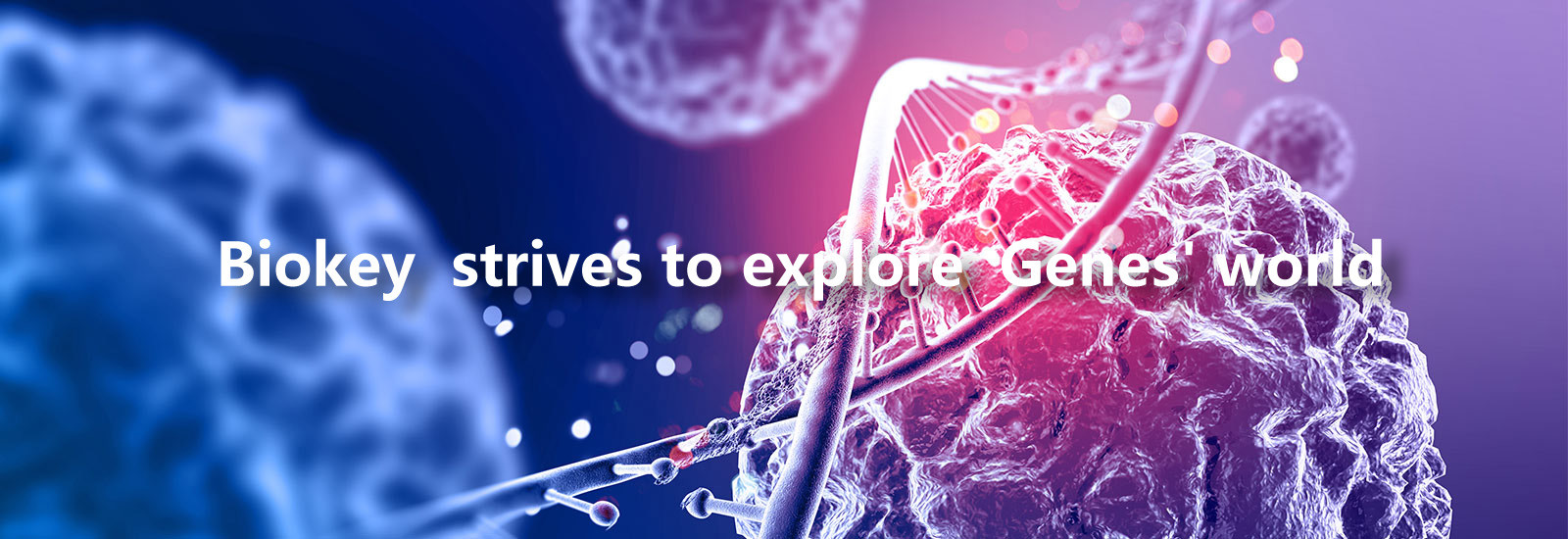 Kalite RT qPCR Makinesi fabrika