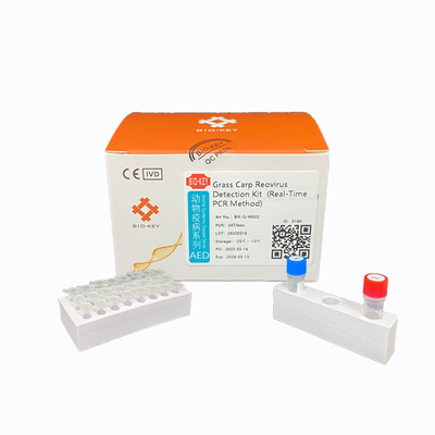 DNA Taq Su Ürünleri Test Kiti Çim Sazan Reovirüs Virüsü GCRVI Tip I PCR Test Kiti