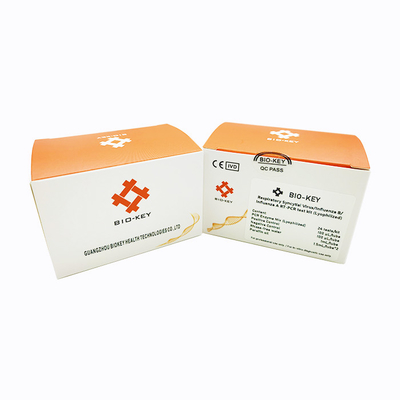 Solunum Sinsityal Virüsü / Influenza B / A RT PCR Test Kiti Liyofilize 48test/Kit