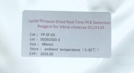 Vibrio cholerae için LyoDt® Dondurma Kurutulmuş Gerçek Zamanlı PCR Deteksi Reagent O1/O139 - Soğuk Zincir Gerekmiyor ve Tek Test Önceden Verildi