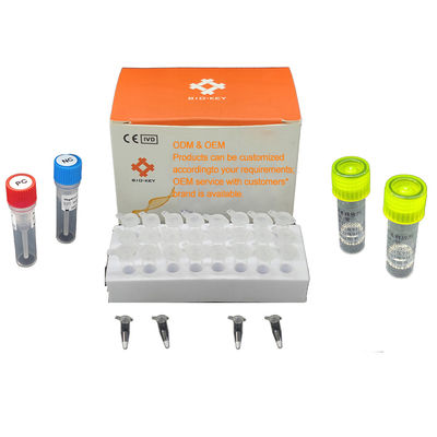 Floresan Kvantitatif PCR Tanı Kitleri Su Patogenlerinin Moleküler Bulunması 48 Test/Kit Tanı
