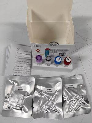 NHPB Su Patogen Nükleik Asit Floresan Kvantitatif Pcr Taqman Test Kiti