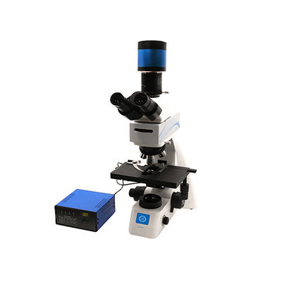 Kaba / Mikro Koaksiyel Odaklayıcı Dikey Biyolojik Mikroskop B70F