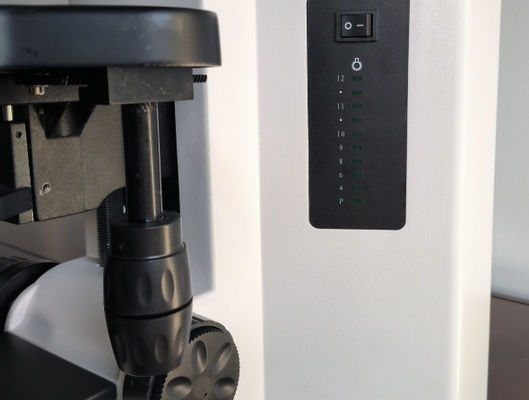 Araştırma Derecesi Dikey Mikroskop B80