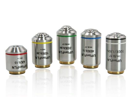 Araştırma Derecesi Dikey Mikroskop B80