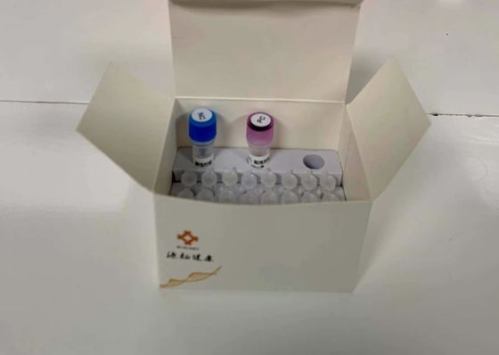 Floresan Kvantitatif PCR Tanı Kitleri Su Patogenlerinin Moleküler Bulunması 48 Test/Kit Tanı