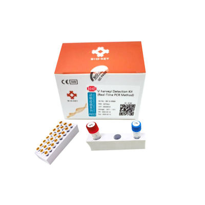 Su Örnekleri Vibrio Harveyi Su Ürünleri Test Kiti Nükleik Asit Real Time PCR